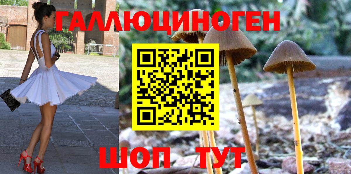 Мытищи  Псилоцибиновые грибы мицелий  Вход с VPN 